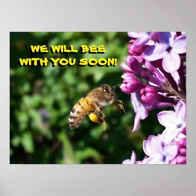 Busy Bee - Restaurant Waiting Room Poster (Front)