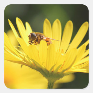 Busy Bee Square Sticker
