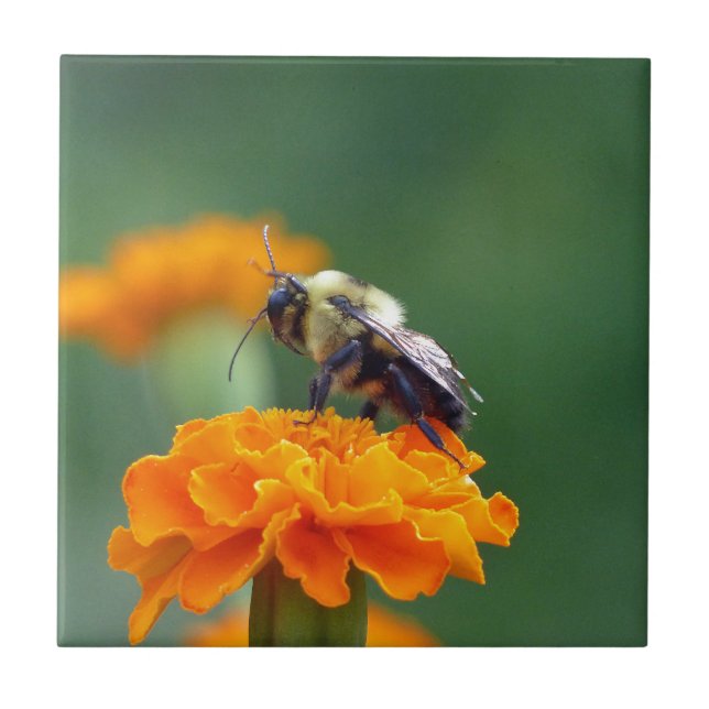 Busy Bee Tile (Front)
