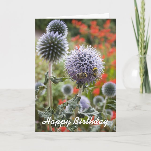 Busy bees  ...  card (Front)