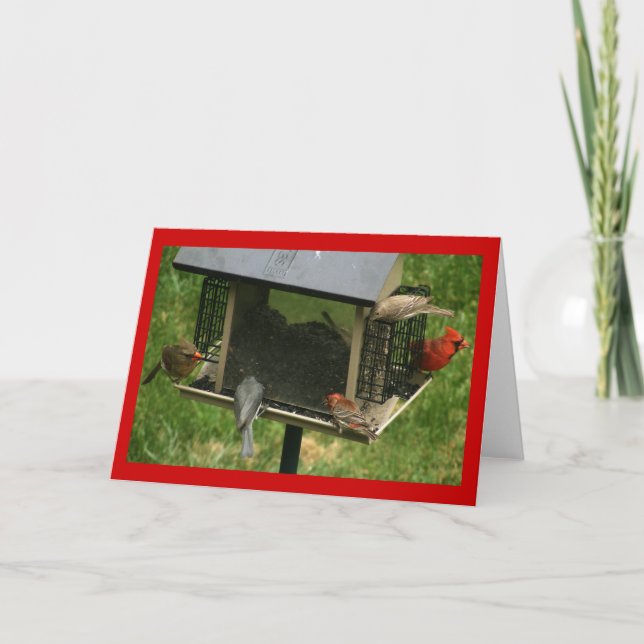 Busy Bird Feeder Card (Front)