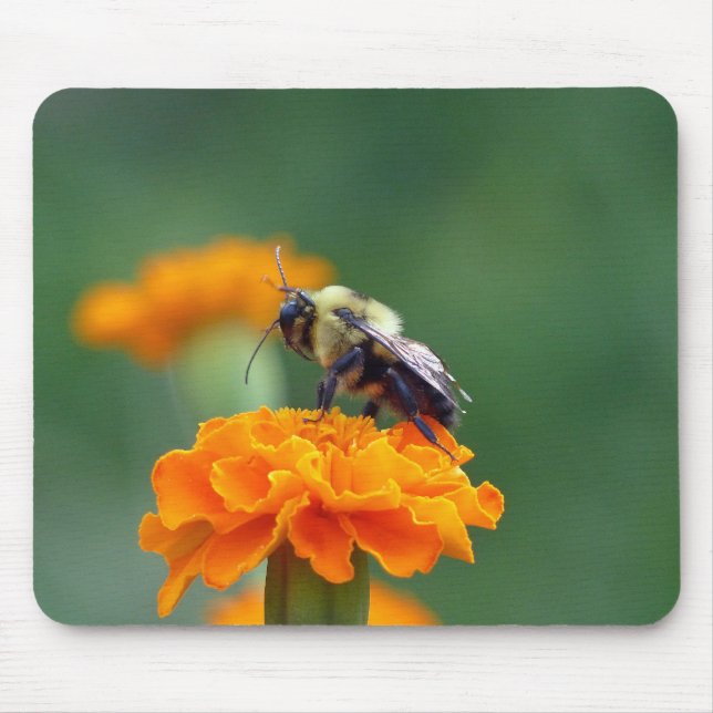 Busy Bumble Bee Mouse Mat (Front)