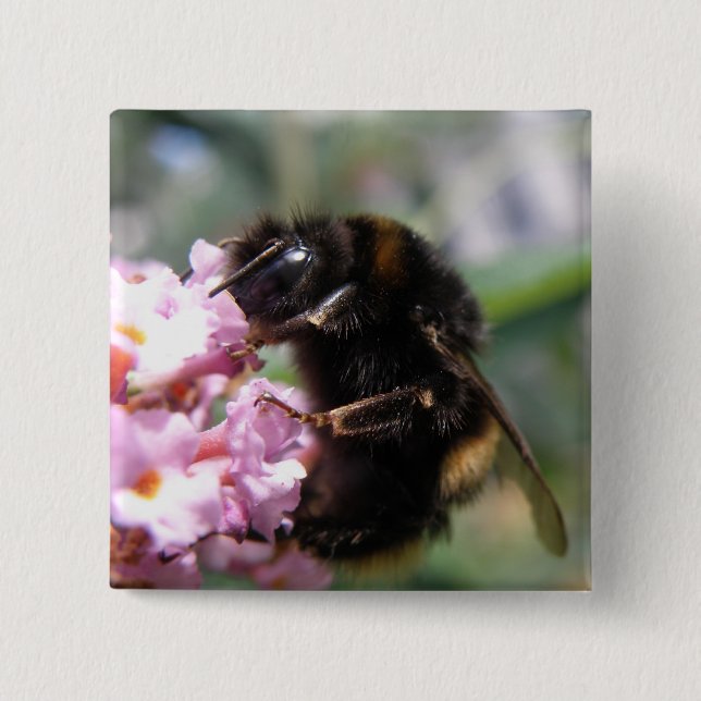 Busy Bumblebee and Pink Flowers Button (Front)