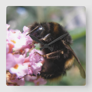 Busy Bumblebee and Pink Flowers Wall Clock