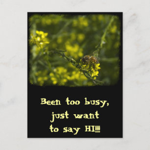 Busy Busy Bee Postcard