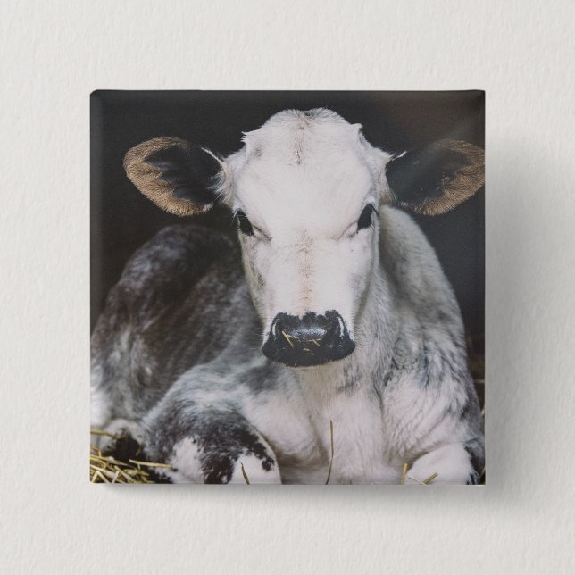 Busy Day Crop 15 Cm Square Badge (Front)