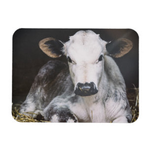 Busy Day Crop Magnet