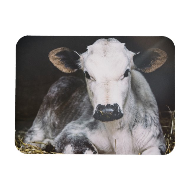 Busy Day Crop Magnet (Horizontal)