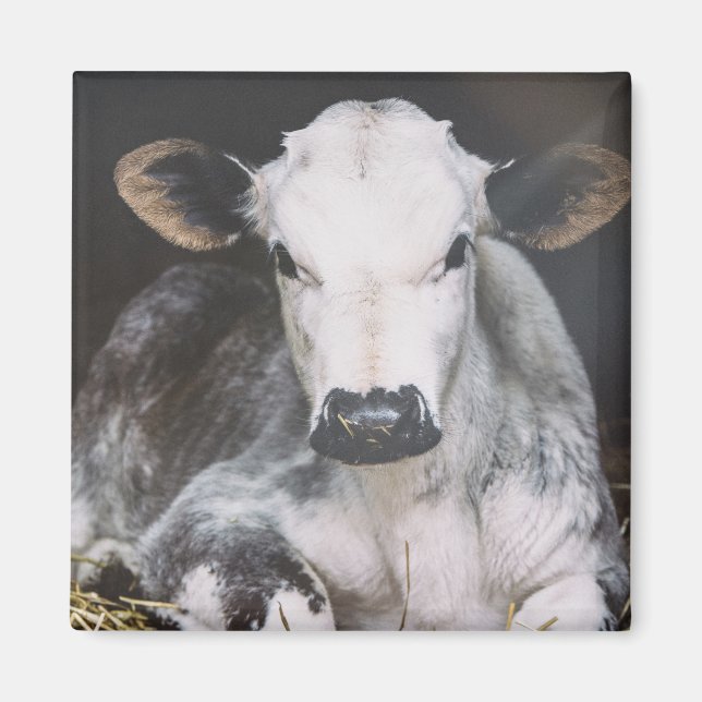 Busy Day Crop Magnet (Front)