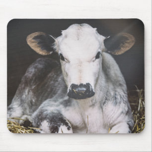 Busy Day Crop Mouse Mat