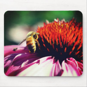 Busy Honey Bee Echinacea Flower  Mouse Mat