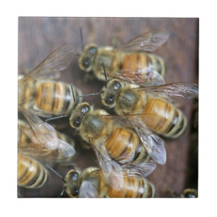 Busy honey bees tile