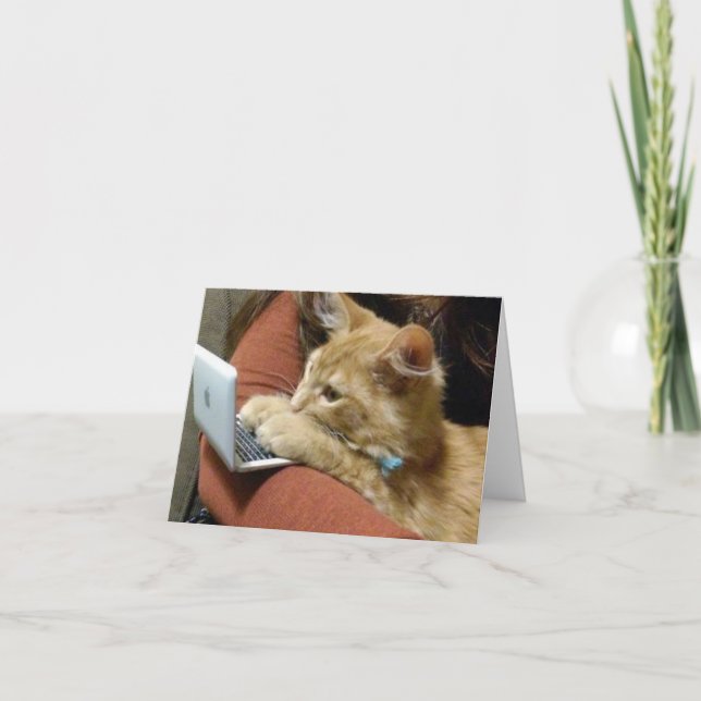 BUSY KITTY SAYS ***HAPPY BIRTHDAY** TO YOU CARD (Front)