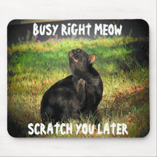 Busy Right Meow Cat Meme Mouse Mat