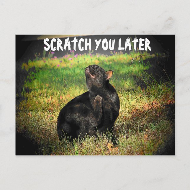Busy Right Meow? Scratch you later Postcard (Front)