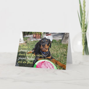 Busy Rottweiler Puppy Anniversary Card