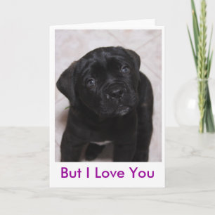 But I Love You Card