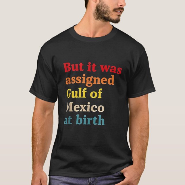 But It Was Assigned Gulf of Mexico at Birth T-Shirt (Front)