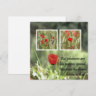 But Pleasures Are Like Poppies Spread Condolences Save The Date