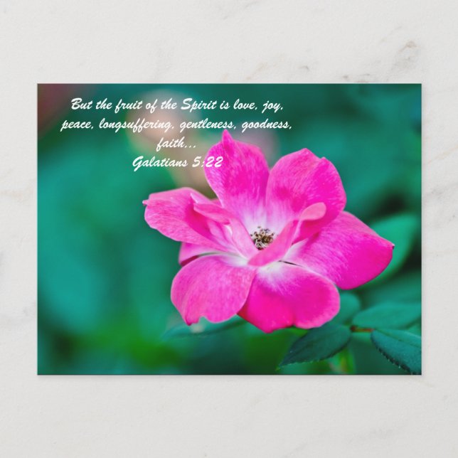 But the fruit of the Spirit is love, joy, peace, l Postcard (Front)