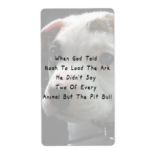 But The Pit Bull