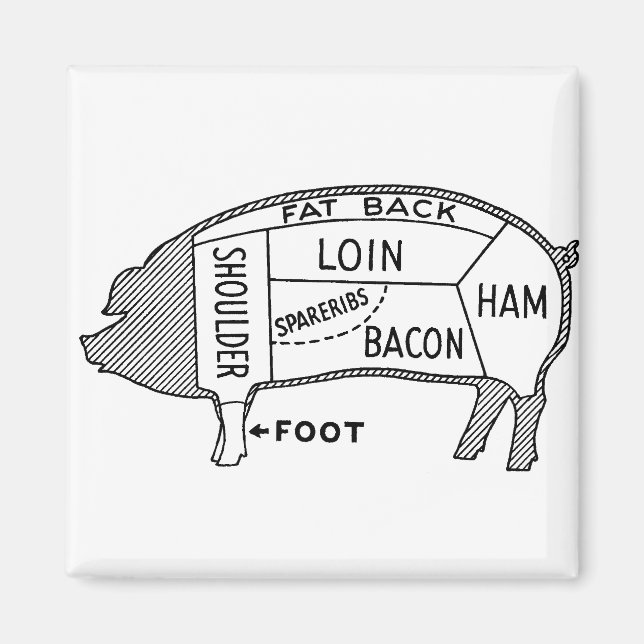 Butcher Chart Pig Magnet (Front)