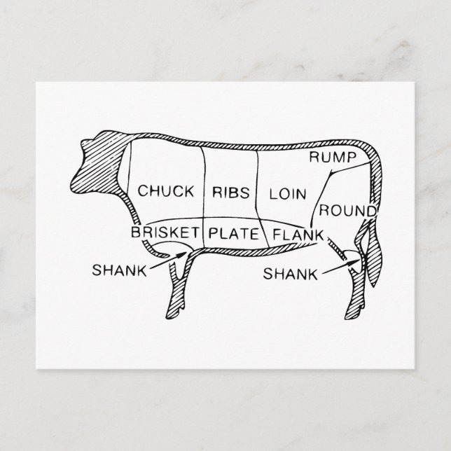 Butcher's Beef Cuts Diagram, cow, butcher, steak Postcard (Front)