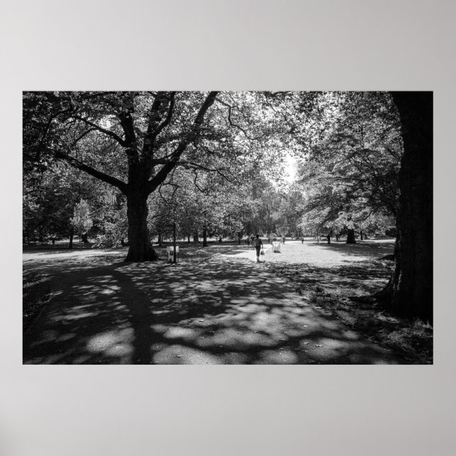 Bute Park on a Summer Afternoon. Cardiff, Wales Poster (Front)