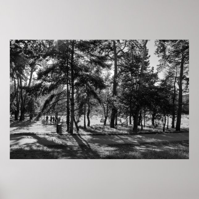 Bute Park on a Summer Afternoon. Cardiff, Wales Poster (Front)