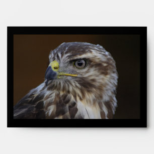 Buteo buteo envelope