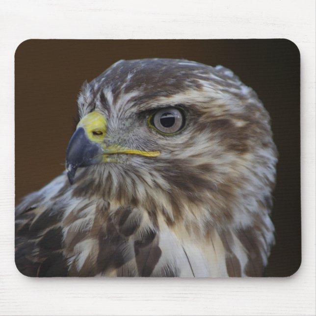 Buteo buteo mouse mat (Front)