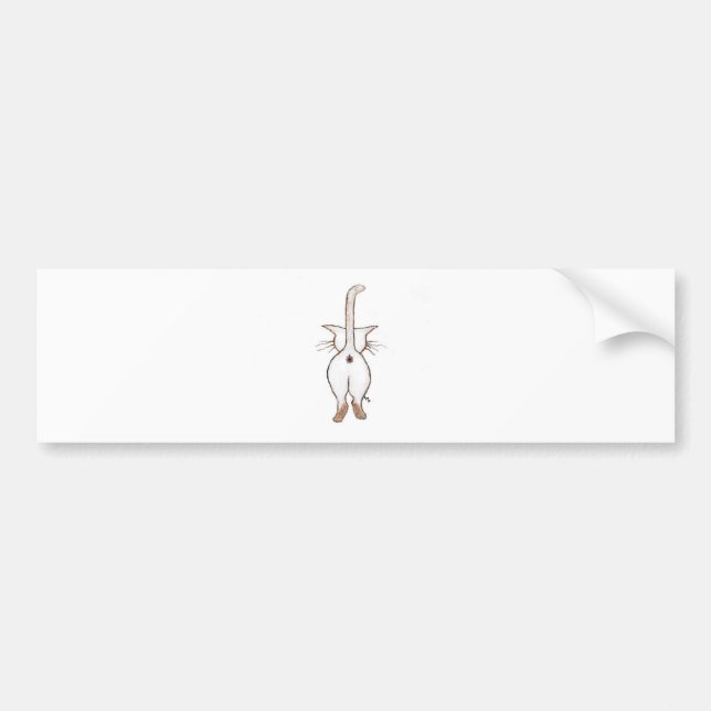 BUTT WHAT? BUMPER STICKER (Front)