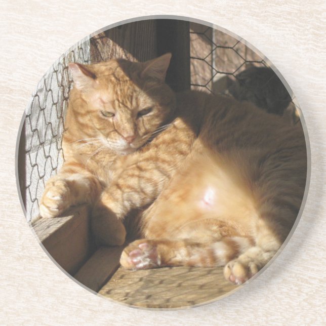 Butter Coaster (Front)