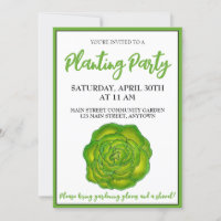 Butter Lettuce Vegetable Community Garden Party