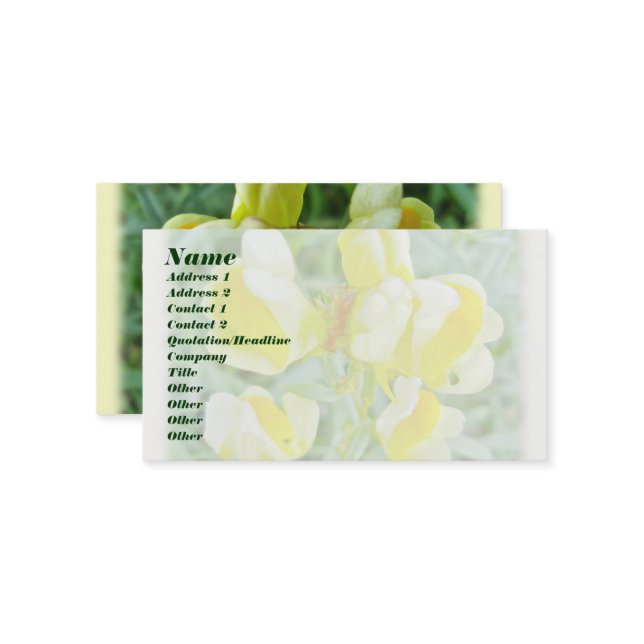 Butter 'n Eggs Wildflower Business Card (Front/Back In Situ)