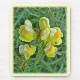 Butter 'n Eggs Wildflower Coordinating Items Mouse Mat