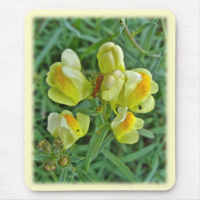 Butter 'n Eggs Wildflower Coordinating Items Mouse Mat (Front)