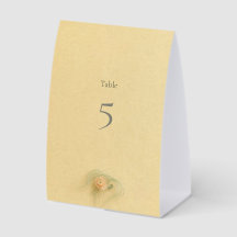 Butter Yellow Peach Ranunculus Table Number
