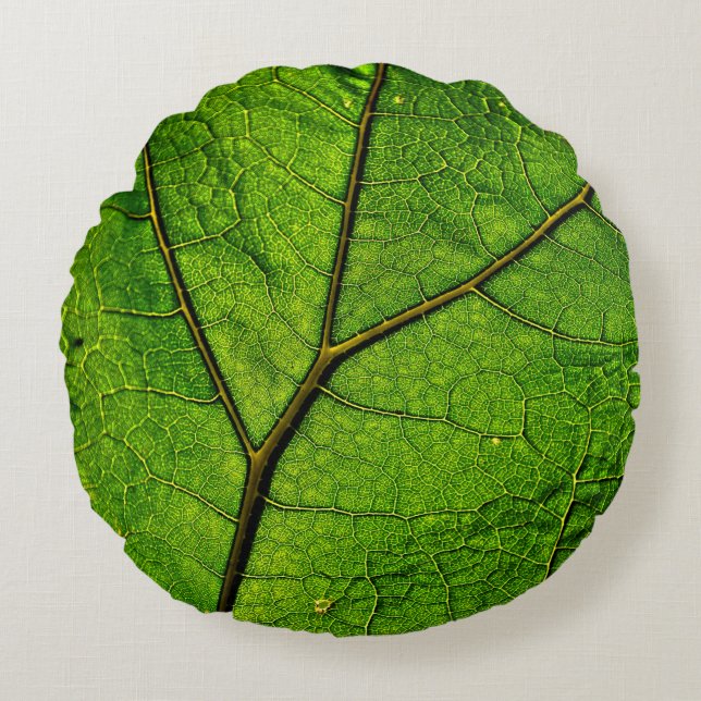 Butterbur leaf leaf veins green round cushion (Front)