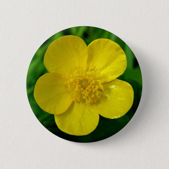 Buttercup 6 Cm Round Badge (Front)