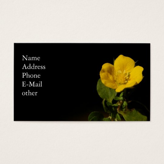 Buttercup ~ Biz card