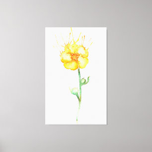 Buttercup Canvas Print