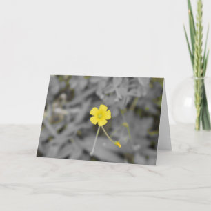 Buttercup Card