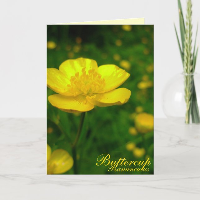 Buttercup Card Wild Flowers Customised Cards (Front)