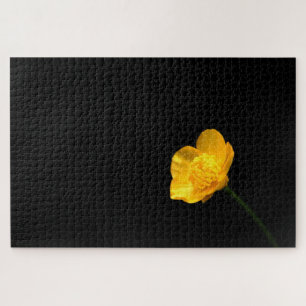 Buttercup Flower 20x30 1014pc jpcn Jigsaw Puzzle