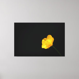 Buttercup Flower 60x40 (150x100cm) waccna Canvas Print