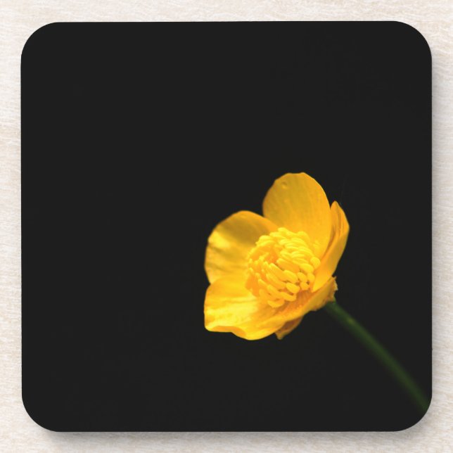Buttercup Flower coastercna Coaster (Front)