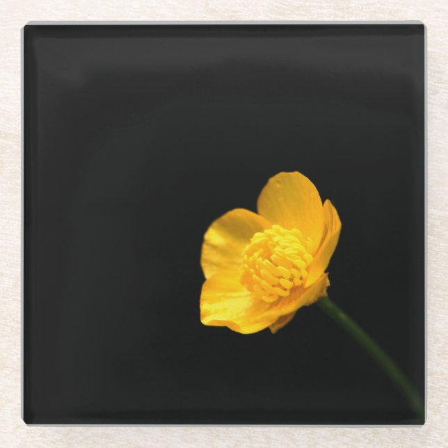 Buttercup Flower coastercna Glass Coaster (Front)