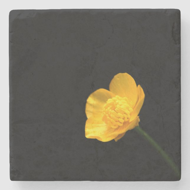 Buttercup Flower coastercnm Stone Coaster (Front)