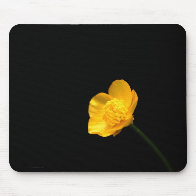 Buttercup Flower mpcna Mouse Mat (Front)